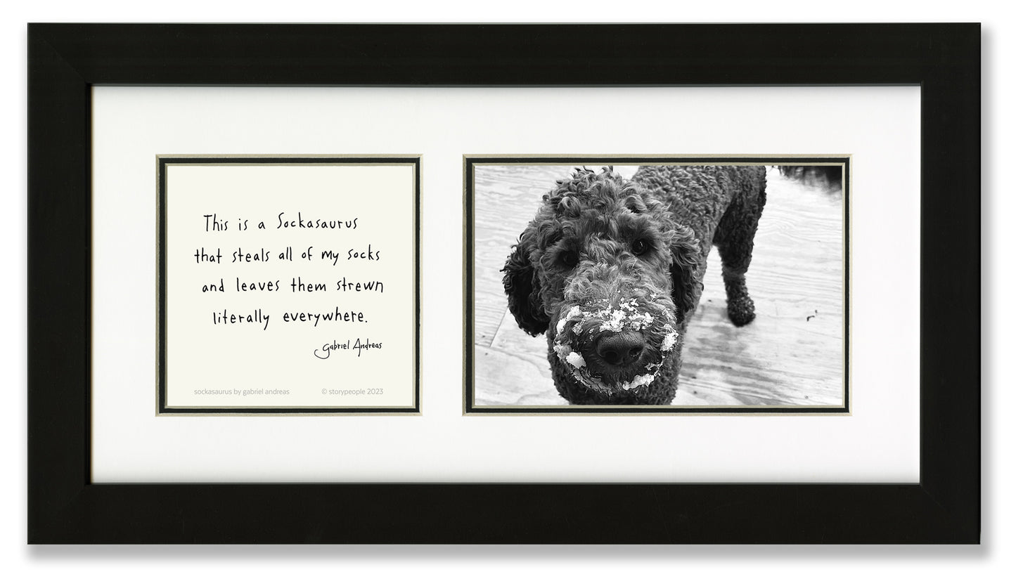 Sockasaurus Photo Frame