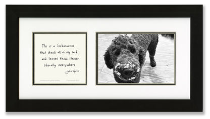 Sockasaurus Photo Frame