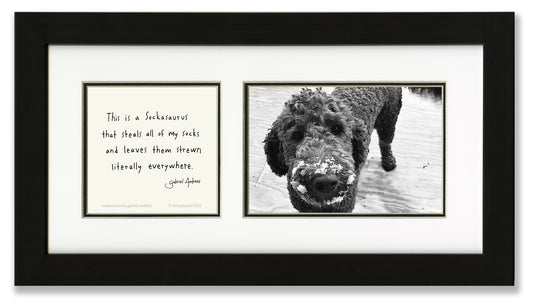 Sockasaurus Photo Frame